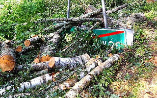 Nawałnica połamała drzewa, które są teraz groźne dla ludzi. W Nadleśnictwie Czerwony Dwór wprowadzono zakaz wstępu do lasu